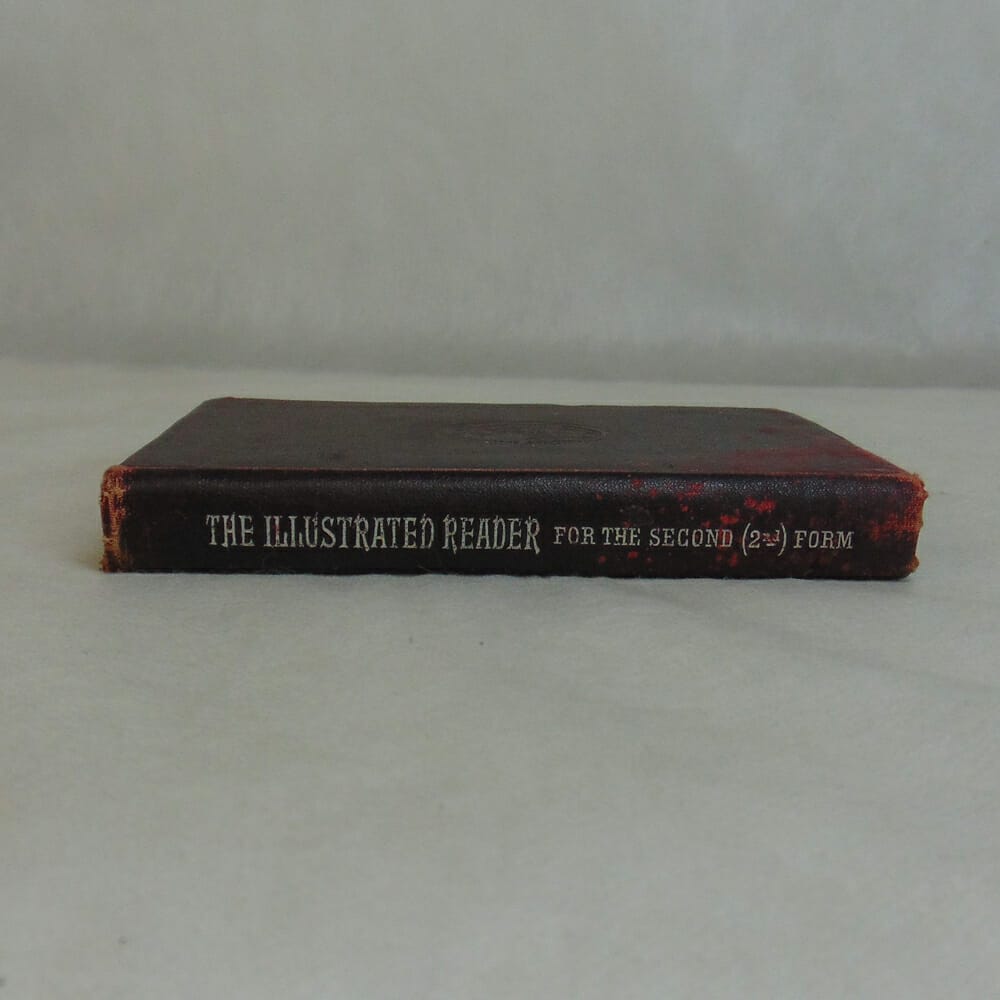 The Illustrated Reader 1905 - immagine 5