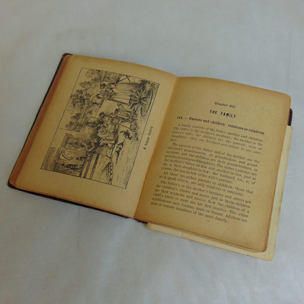 The Illustrated Reader 1905 - immagine 3