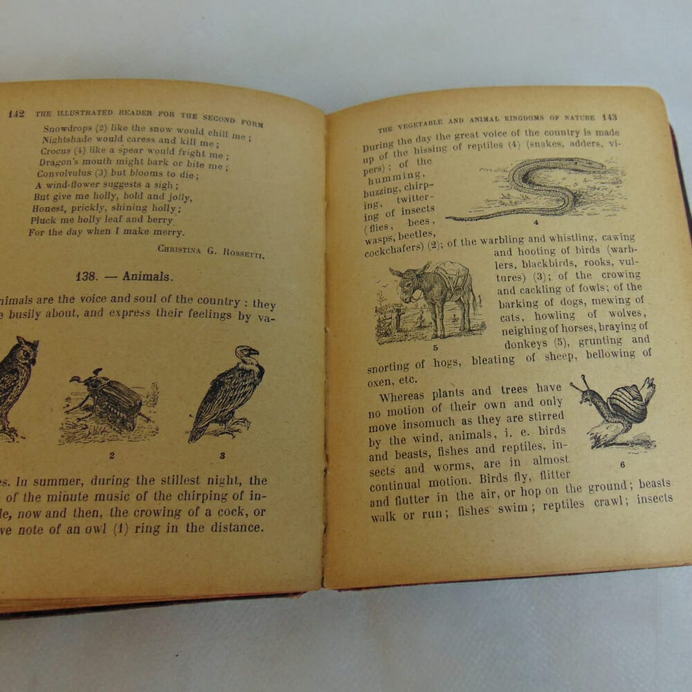 The Illustrated Reader 1905 - immagine 2