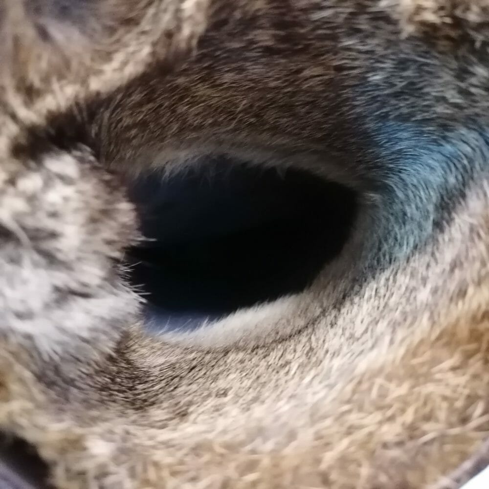 stivali in pelle con vera pelliccia