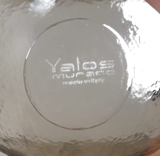 Yalos Murano Ciotola Cartoccetto mignon 17cm - immagine 6
